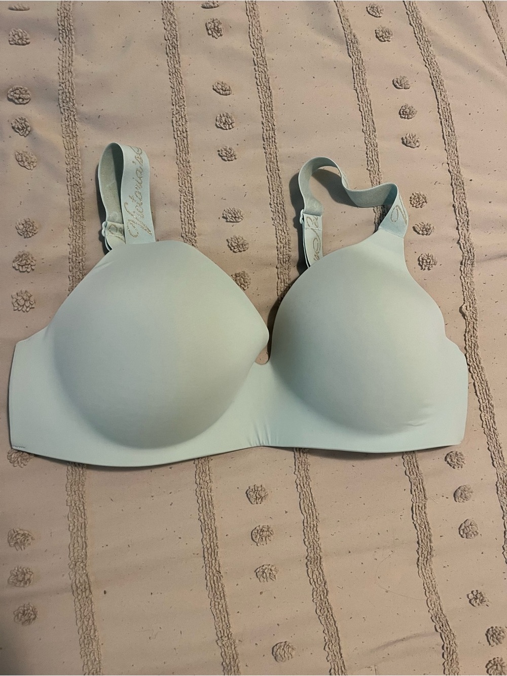 Victoria's Secret Light Aqua Seamless wireless T-Shirt Bra